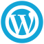 WordPress Management